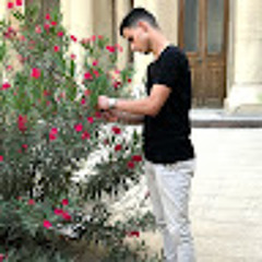 Muhammad Al Numan