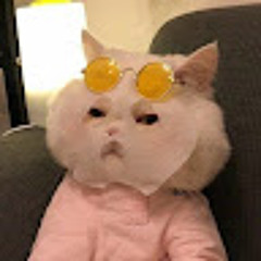 Bảo Ngọc Võ Trần