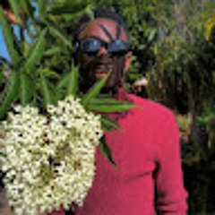 Sabino Jose