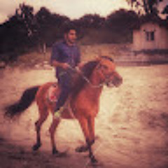 Erfan Rajabi