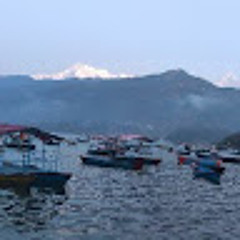 Sampada Thapa
