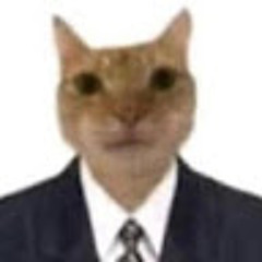 Gabriel Martins