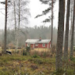 Erik Dahlqvist