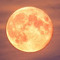 Moon Vampyre