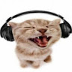 dj kinderbier