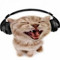 dj kinderbier