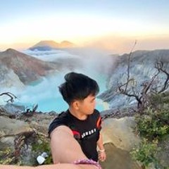 Dewaariana
