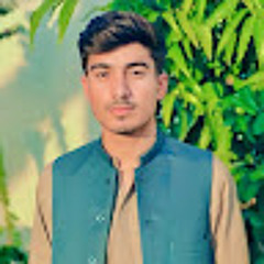 Raza Ali