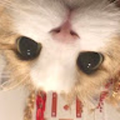 Gấu Kẹo (Huy kẹo)