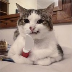 Trương Công Thành