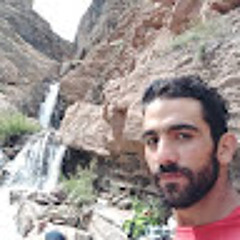 Ramtin Madani