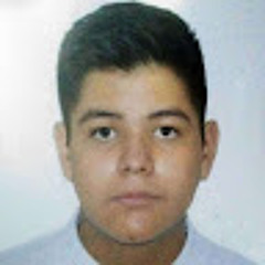 FLORES DELGADO MANUEL