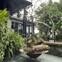 Phương Nguyễn