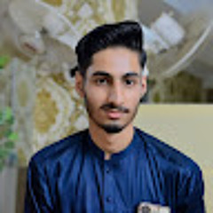 Haider Malik
