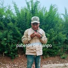 Marcilo Romero Ayala