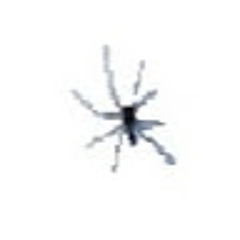 wasp spw
