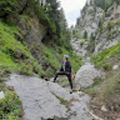 Abdul Wahid