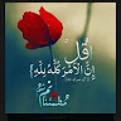 Ahmed Said