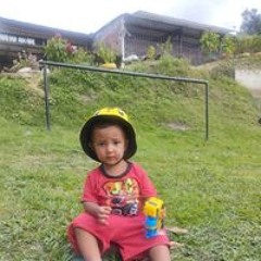 Gero Fede