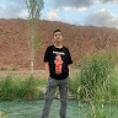 Soheil Hashemi