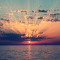 Dreams Dreams