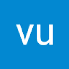 vu giap