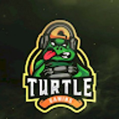 Turtle Gaming