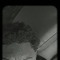 Kevin Gomes