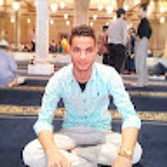 Mostafa ELouony