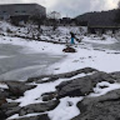 서배성