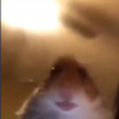 CHUSHPAN