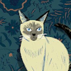 ‫نوف الاحمري (‪nova‬‏)‬‎