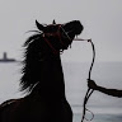 أمـواج القـدر