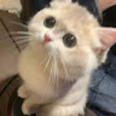 みゅ