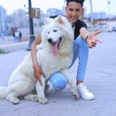 Hazem Hamdy