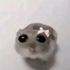 Ng G Huy