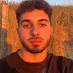 Walid Falyoun