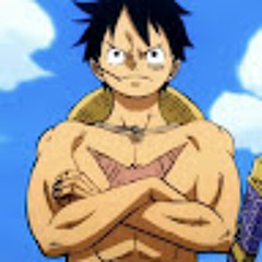 LUFFY X1