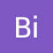 Bi One