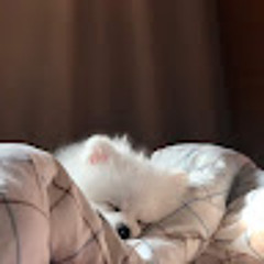 영하