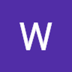 Wfrye4181Wes