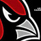 Chris AZcardinals