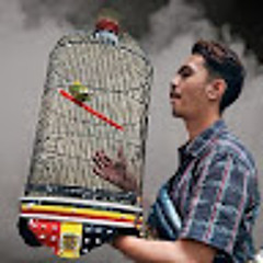 Reffangga robyarta