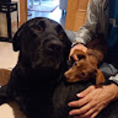 Oscar López Canencia