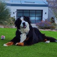 Carol Fisher Castagna