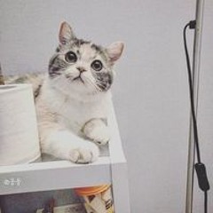 하윤재