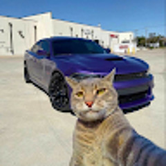 Колосов Владимир