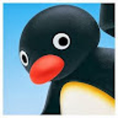 pingu cz