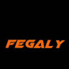 Fegavictor2