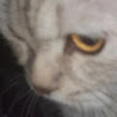 Тот ещё Вадорад